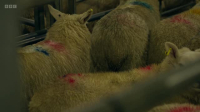 This Farming Life S06E05 XviD-AFG EZTV