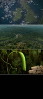 Cosmos Possible Worlds S01E04 480p x264-ZMNT