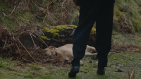 All Creatures Great And Small 2020 S05E02 XviD-AFG EZTV All Creatures Great And Small 2020 S05E02 XviD-AFG EZTV