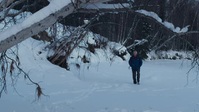 Cold Blooded Alaska S01E01 Cabin Fever XviD-AFG EZTV