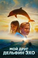 Dolphin Kick 2019 HDRip XviD AC3-EVO[TGx]