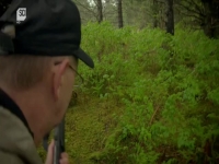 The Alaska Triangle S01E04 480p x264-mSD EZTV The Alaska Triangle S01E04 480p x264-mSD EZTV