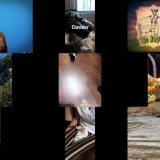Howie Mandels Animals Doing Things S02E05 720p WEB x264-TBS