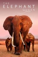 The Elephant Queen 2019 720p WEBRip 800MB x264-GalaxyRG