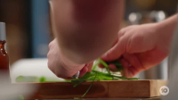 MasterChef Australia S16E40 XviD-AFG EZTV