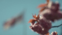 After Life S03E01 MULTi WEB H264-DOGGYSTYLE EZTV After Life S03E01 MULTi WEB H264-DOGGYSTYLE EZTV