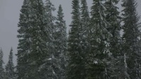 Alone S09E10 720p HEVC x265-MeGusta EZTV