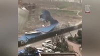 Construction Fails S01E06 XviD-AFG EZTV