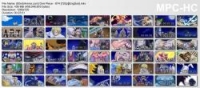 [60mbAnime] One Piece - 874 [720p][EngSub]