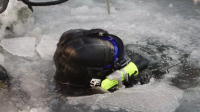 Bering Sea Gold S18E09 720p HEVC x265-MeGusta EZTV Bering Sea Gold S18E09 720p HEVC x265-MeGusta EZTV