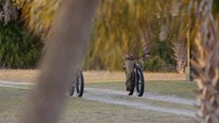 Living Smaller S01E09 XviD-AFG EZTV Living Smaller S01E09 XviD-AFG EZTV