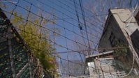 NYC Revealed S02E03 XviD-AFG EZTV NYC Revealed S02E03 XviD-AFG EZTV
