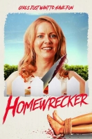 Homewrecker 2019 720p WEBRip 800MB x264-GalaxyRG