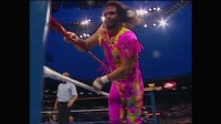 WWE SummerSlam 1992 720p WEB h264-HONOR EZTV