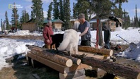 Life Below Zero Next Generation S05E07 XviD-AFG EZTV Life Below Zero Next Generation S05E07 XviD-AFG EZTV