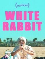 White Rabbit (2018) 720p WEB-DL x264 550MB ESubs - MkvHub