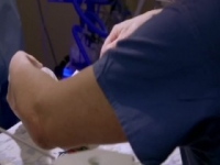 Tiny Lives S01E02 480p x264-mSD [eztv]