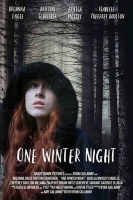 One Winter Night 2019 HDRip XviD AC3-EVO[TGx]
