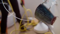 When Sharks Attack And Why S01E03 XviD-AFG EZTV When Sharks Attack And Why S01E03 XviD-AFG EZTV