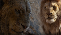 Lion king / leeuwenkoning