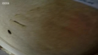 Inside The Zoo S01E01 XviD-AFG EZTV