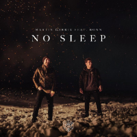 Martin Garrix ft. Bonn- No Sleep (Single, 2019) Mp3 (320Kbps)