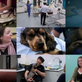 The Supervet S14E03 HDTV x264-PLUTONiUM
