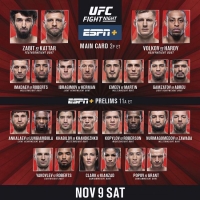 UFC Fight Night 163 Prelims WEB H264-SHREDDIE[TGx]