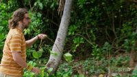 Survivor S45E01 720p HEVC x265-MeGusta EZTV