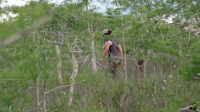 Swamp People Serpent Invasion S04E09 XviD-AFG EZTV