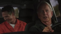 NCIS S19E03 720p WEB H264-GLHF EZTV