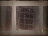 Cosmos Possible Worlds S01E03 480p x264-mSD [eztv]