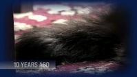 My Strange Addiction Still Addicted S01E01 XviD-AFG EZTV