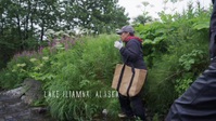 Life Below Zero First Alaskans S02E08 720p WEB h264-EDITH EZTV