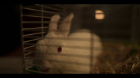 Wolf Like Me S02E02 720p HEVC x265-MeGusta EZTV Wolf Like Me S02E02 720p HEVC x265-MeGusta EZTV