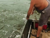 Swamp People S12E06 480p x264-mSD EZTV