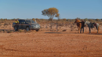 Aussie Gold Hunters S09E16 1080p WEB H264-CBFM EZTV