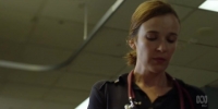 Pulse AU S01E02 HDTV x264-W4F[eztv]