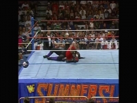 WWE SummerSlam 1995 480p x264-mSD EZTV