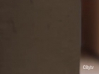 Hudson and Rex S02E17 480p x264-mSD [eztv]