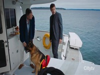Hudson and Rex S04E03 480p x264-mSD EZTV