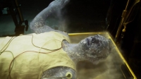 Gotham S02E12 HDTV x264 LOL rarbg