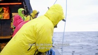 Deadliest Catch S18E11 XviD-AFG EZTV Deadliest Catch S18E11 XviD-AFG EZTV