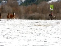 Breaking Wild S01E01 480p x264-mSD EZTV