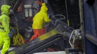 Deadliest Catch S18E05 XviD-AFG EZTV Deadliest Catch S18E05 XviD-AFG EZTV
