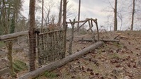 Homegrown S01E06 Rejuvenation XviD-AFG EZTV