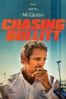 Chasing Bullitt 2018 DVDRip x264-SPOOKS[TGx]