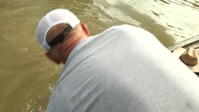 Swamp People S12E16 XviD-AFG EZTV Swamp People S12E16 XviD-AFG EZTV