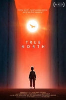 True North 2020 1080p WEB h264-RedBlade[TGx]