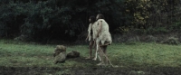 Romulus & Remus: The First King (2019) [BluRay] [1080p] [YTS] [YIFY]